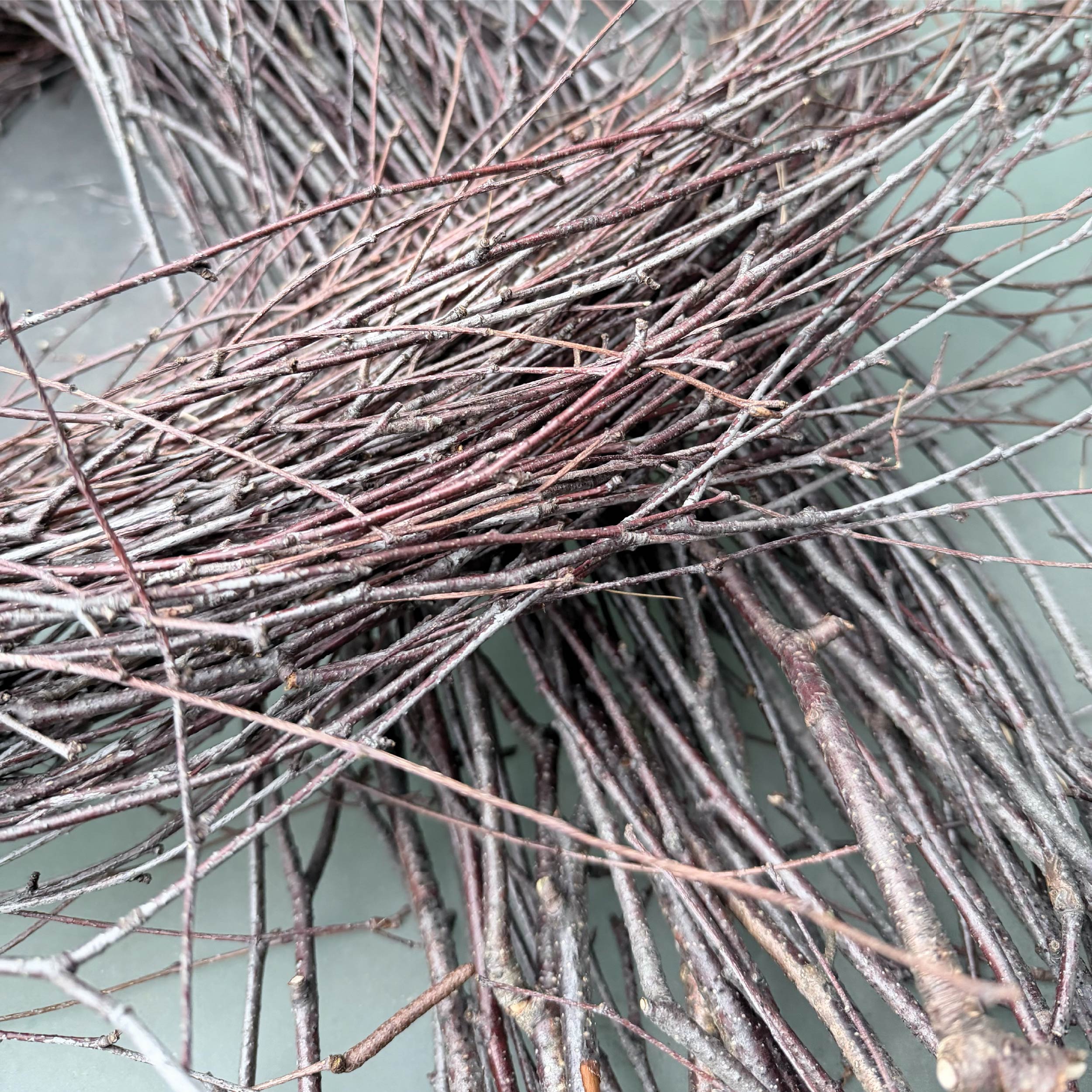 Spring Creations - Image 6