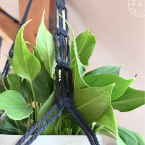 Macramé - Plant Hanger
