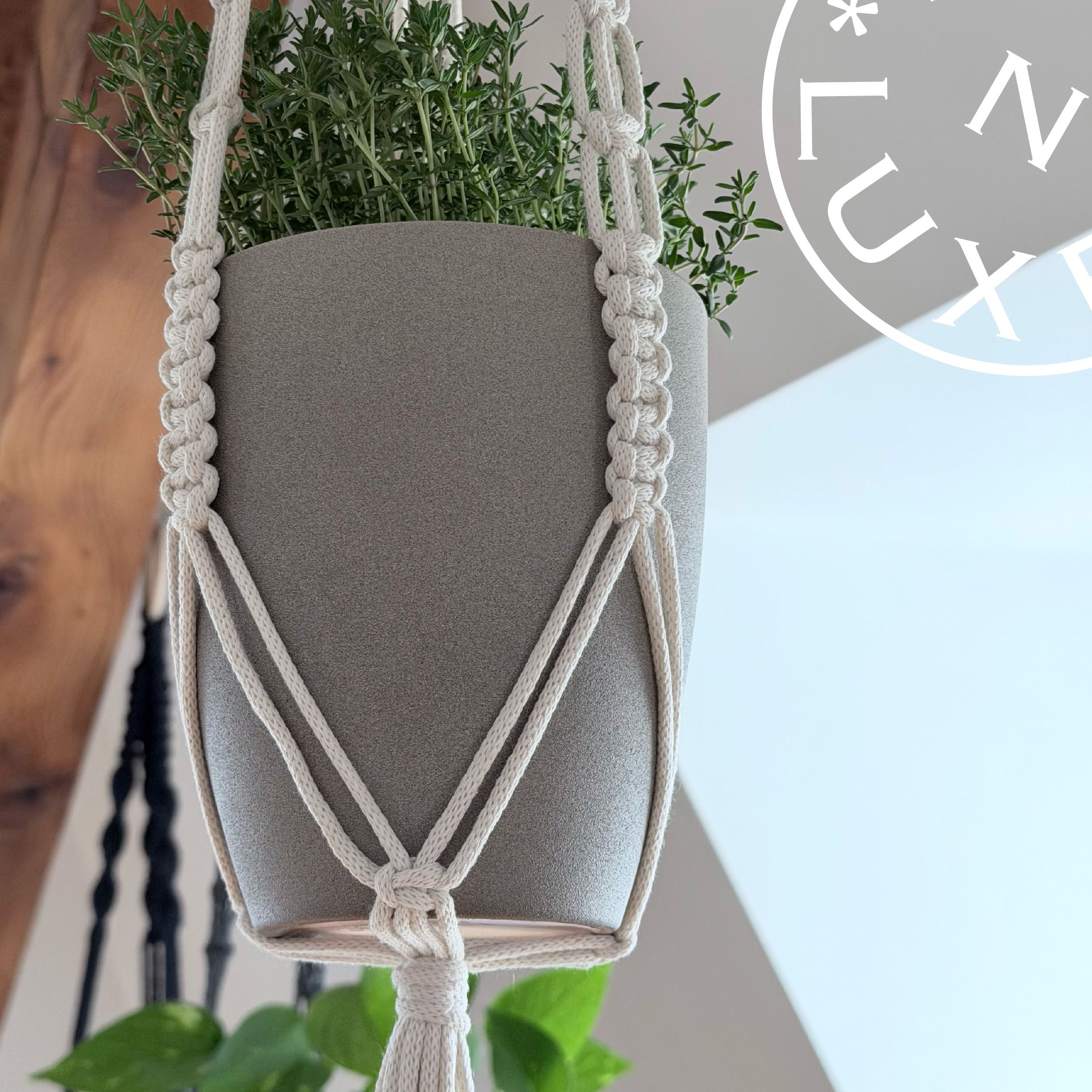 Macramé - Plant Hanger