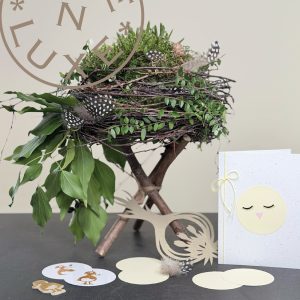 Spring Creations